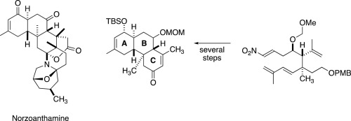 Studies Toward Norzoanthamine:  Ireland–Claisen Rearrangements of α,β-Unsaturated Esters in a Stereocontrolled Synthesis of Trans-Fused 2-Cyclohexen-1-ones