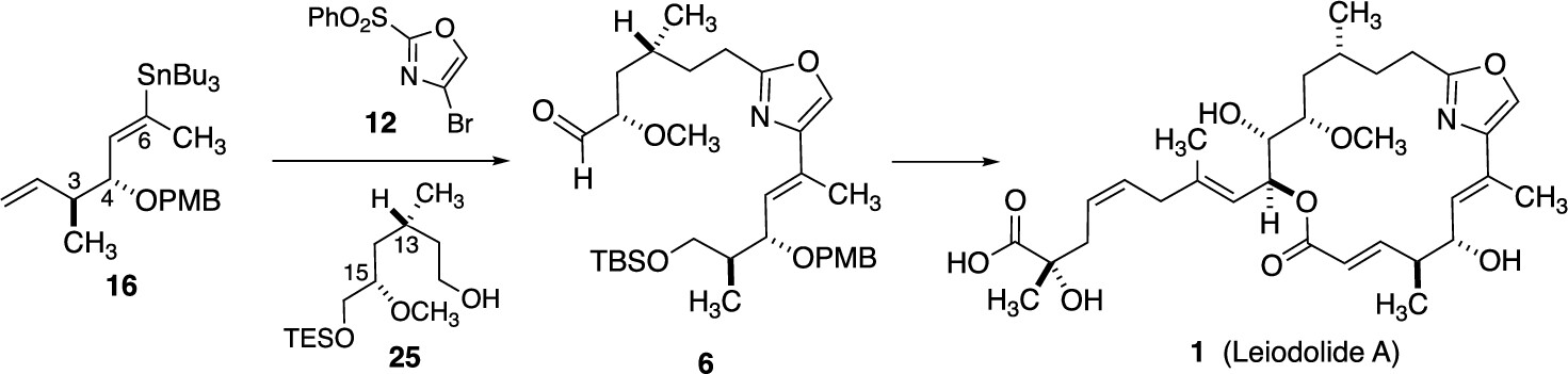 Studies Toward the Synthesis of Leiodolide A
