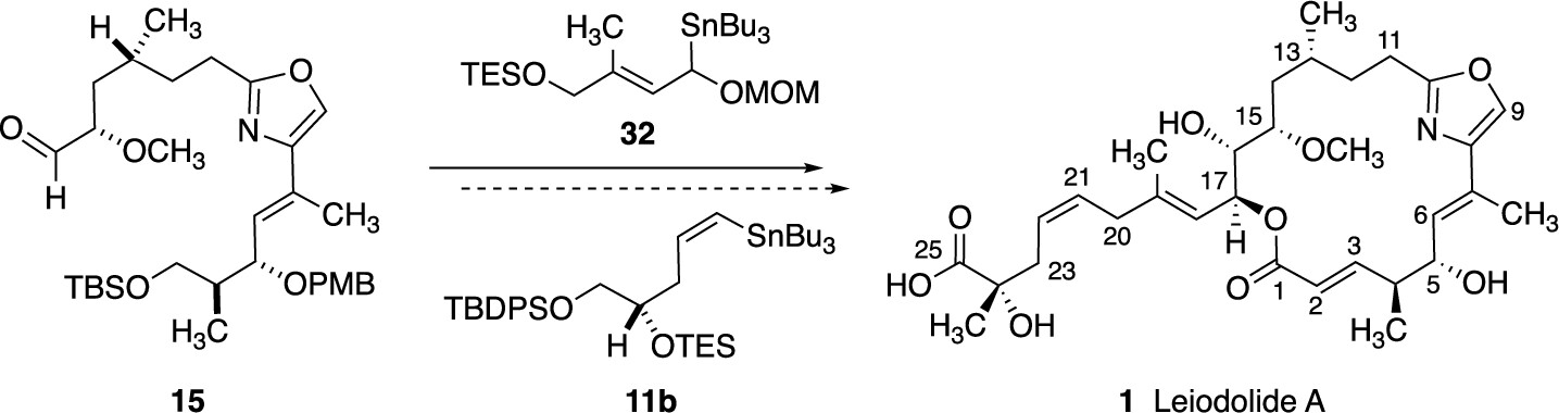 Synthesis of Leiodolide A Macrolactone